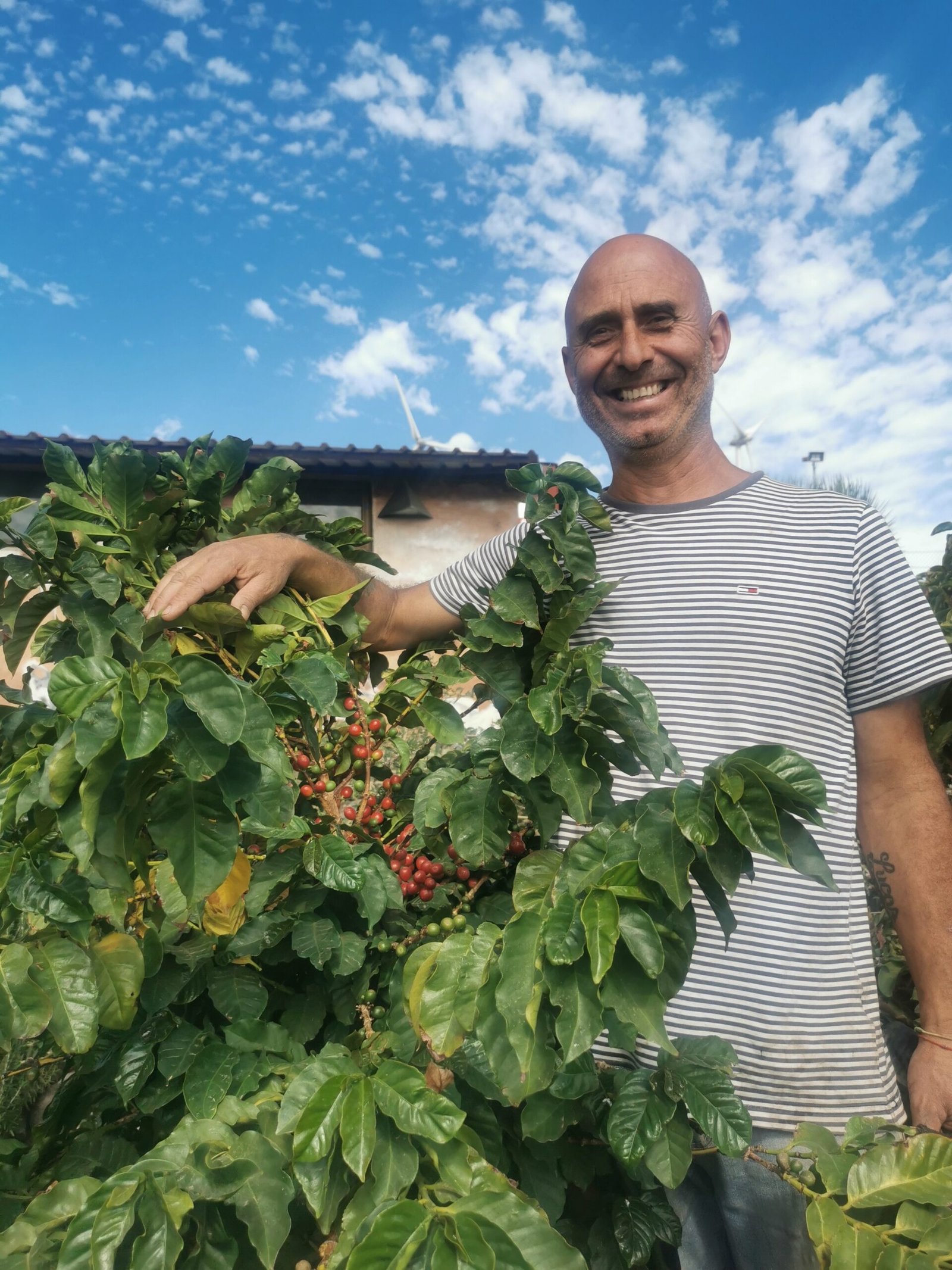 Finca de Fran, cultivo de café en San Sebastián de La Gomera